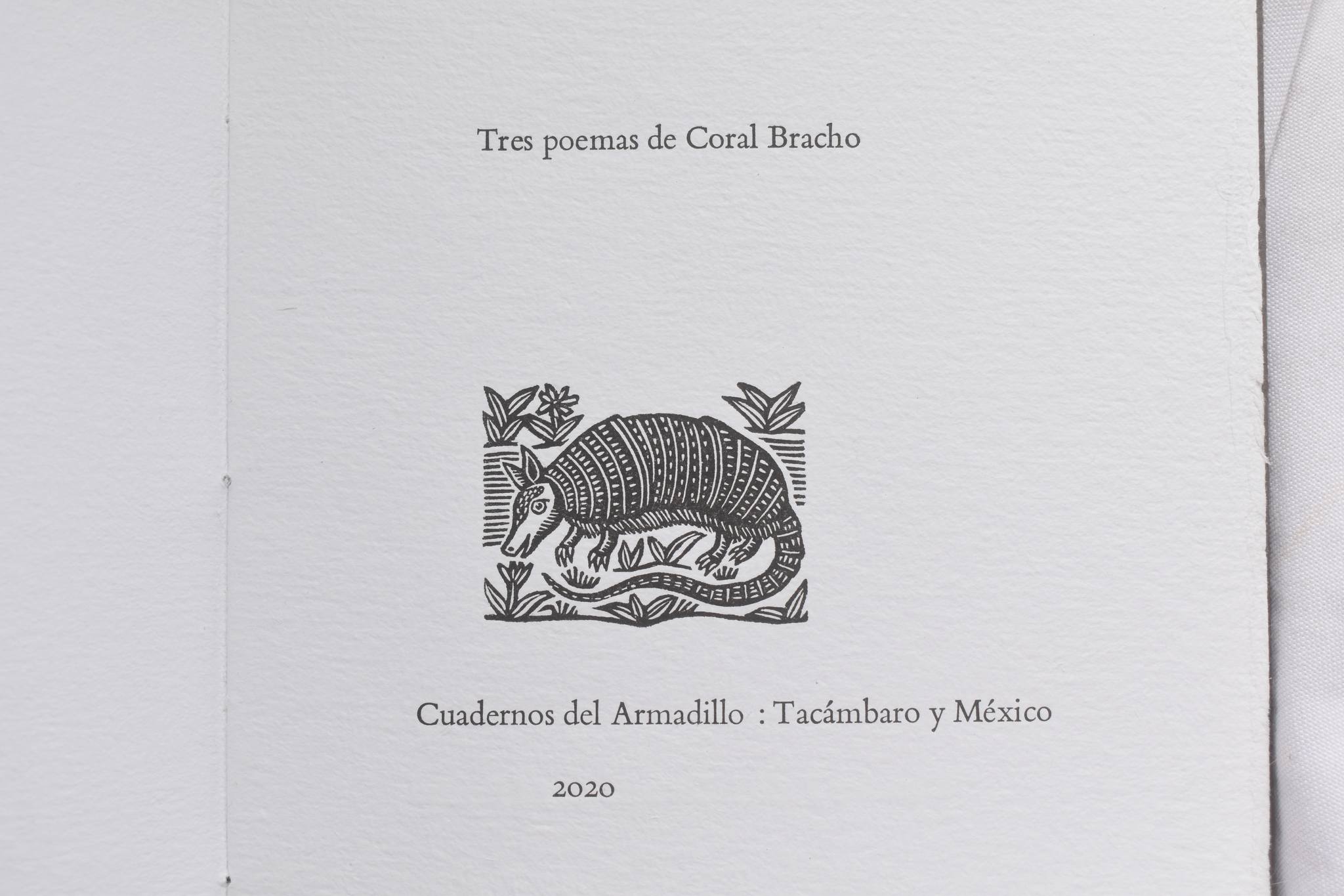 TRES POEMAS DE CORAL BRACHO