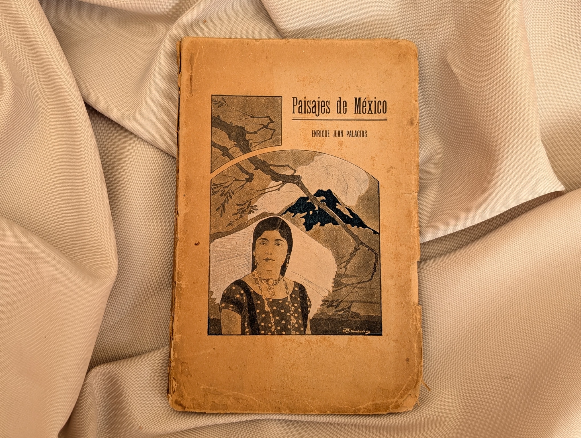 ENRIQUE JUAN PALACIOS PAISAJES DE MÉXICO
