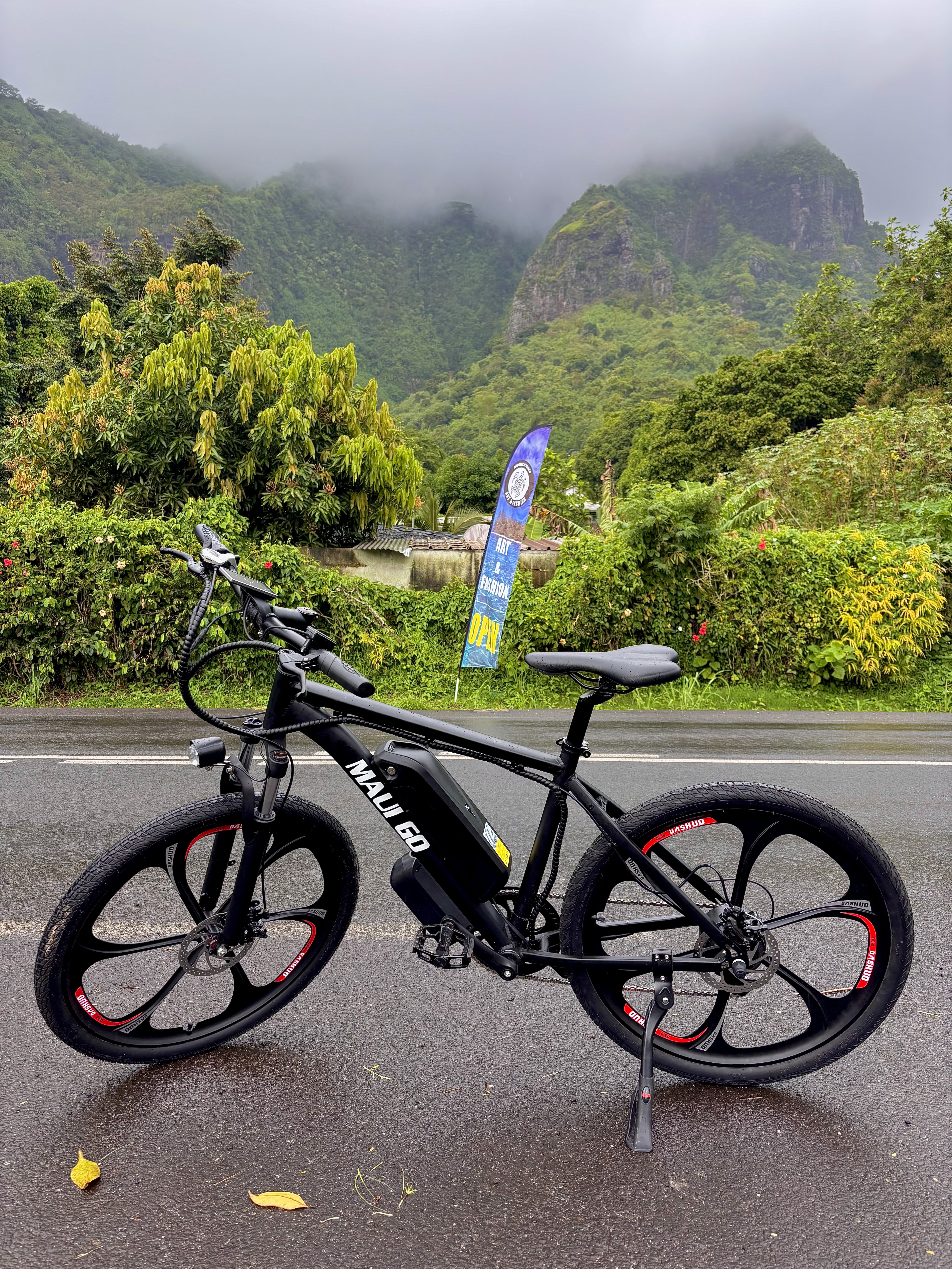 E-Bike, Half Day (4H)