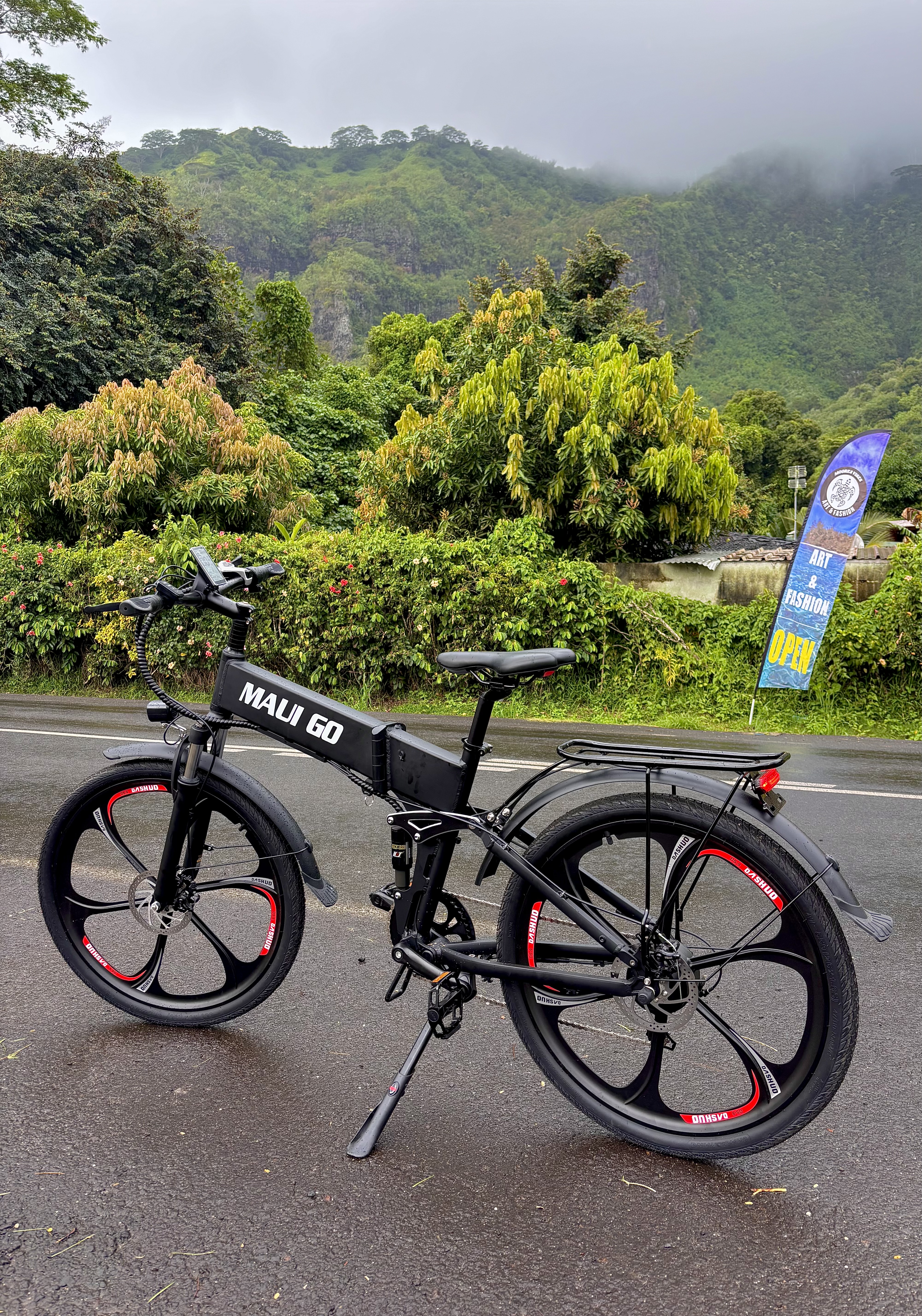 E-Bike Full Day (8H)