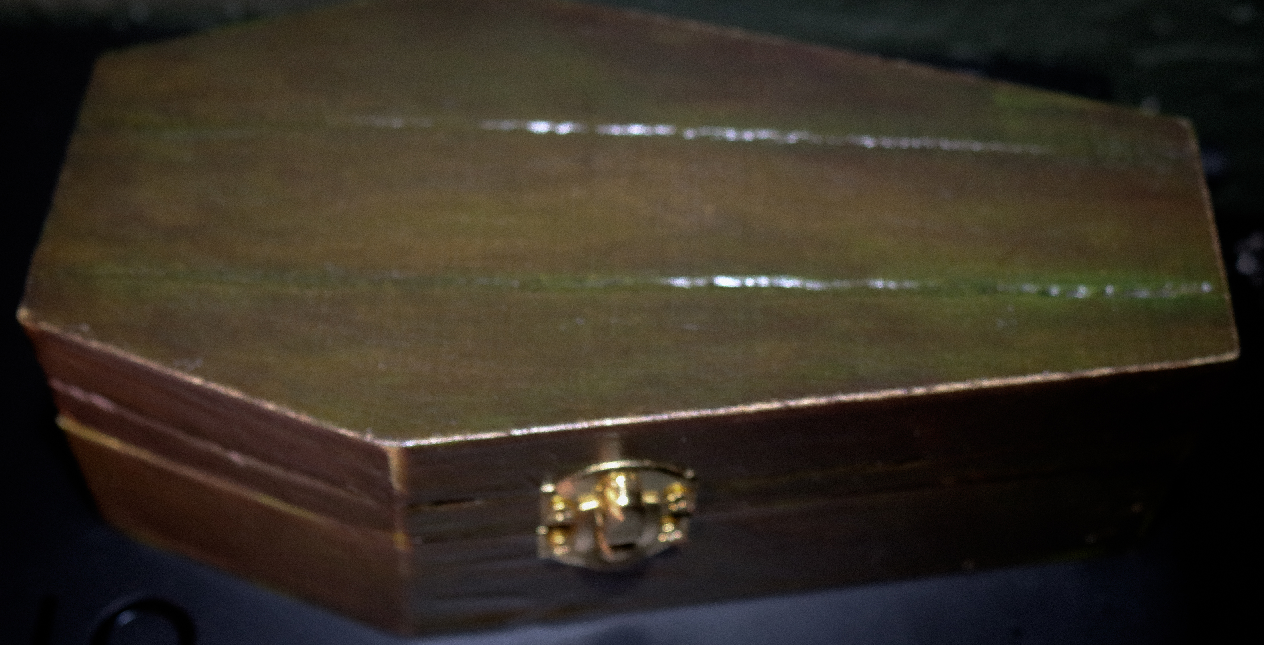 Hand Crafted Coffin Box 