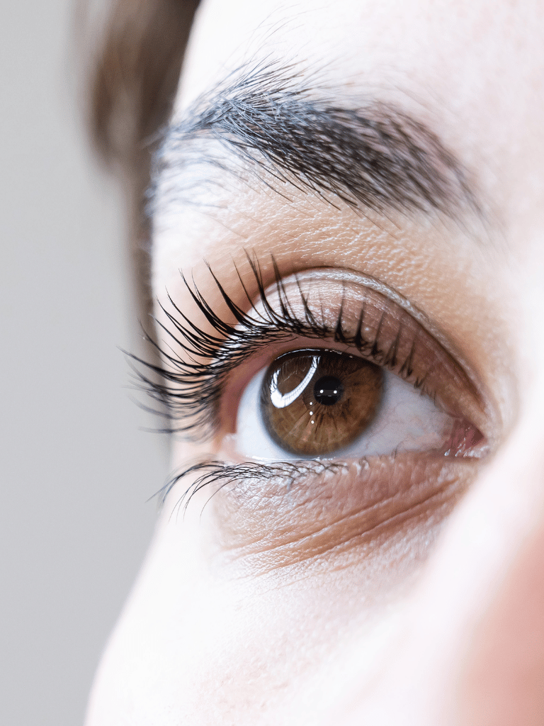 Lash Lift & Tint