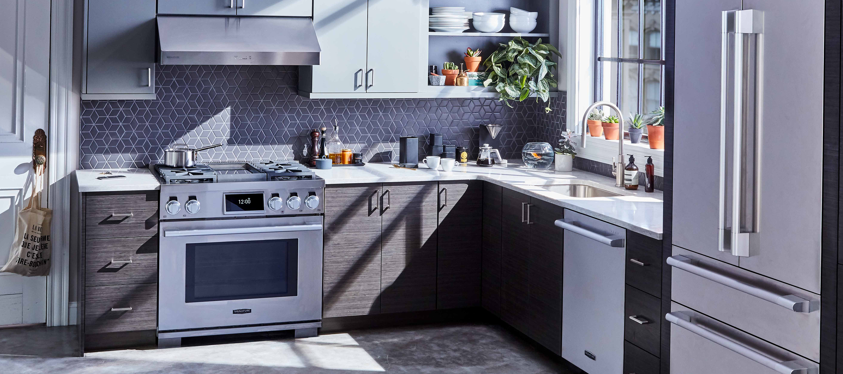 Modern Kitchen Renovation