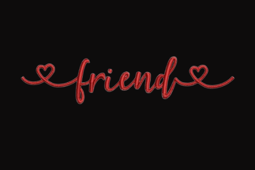 Embroidered 'Friend' T Shirt