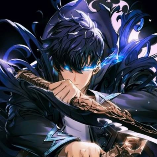 Solo Levelling Magnets