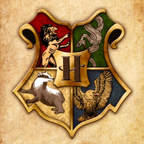 Harry Potter Magnets