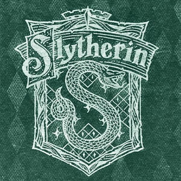 Harry Potter Magnets