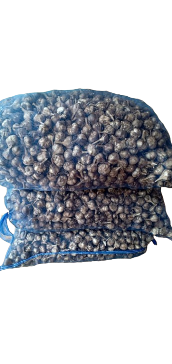 Bulk Black Snails