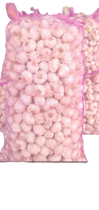 Bulk Garlic Bags