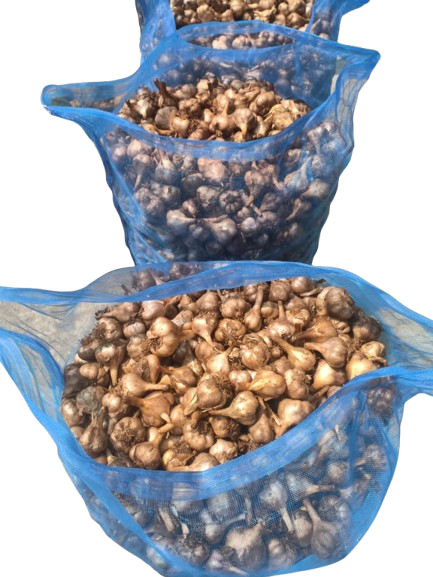 HIll Garlic in Mesh Bags
