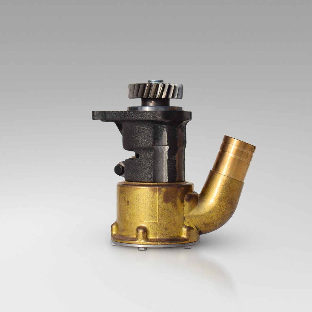 Pompa Acqua Mare  1"1/2 BV 6606 CV 330 - BV 7406 - 66 CTIM