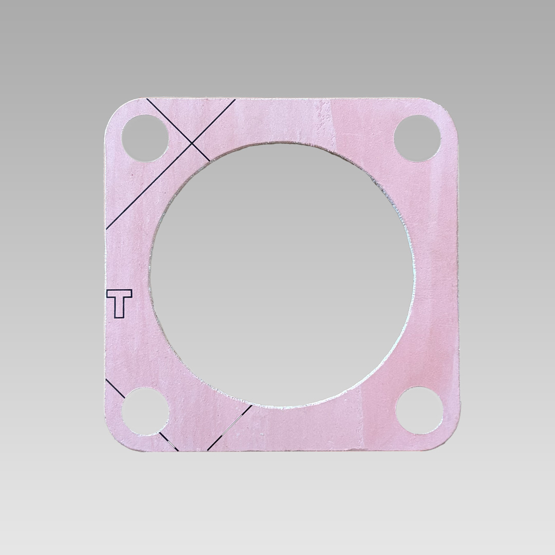 Guarnizione Pompa acqua mare 