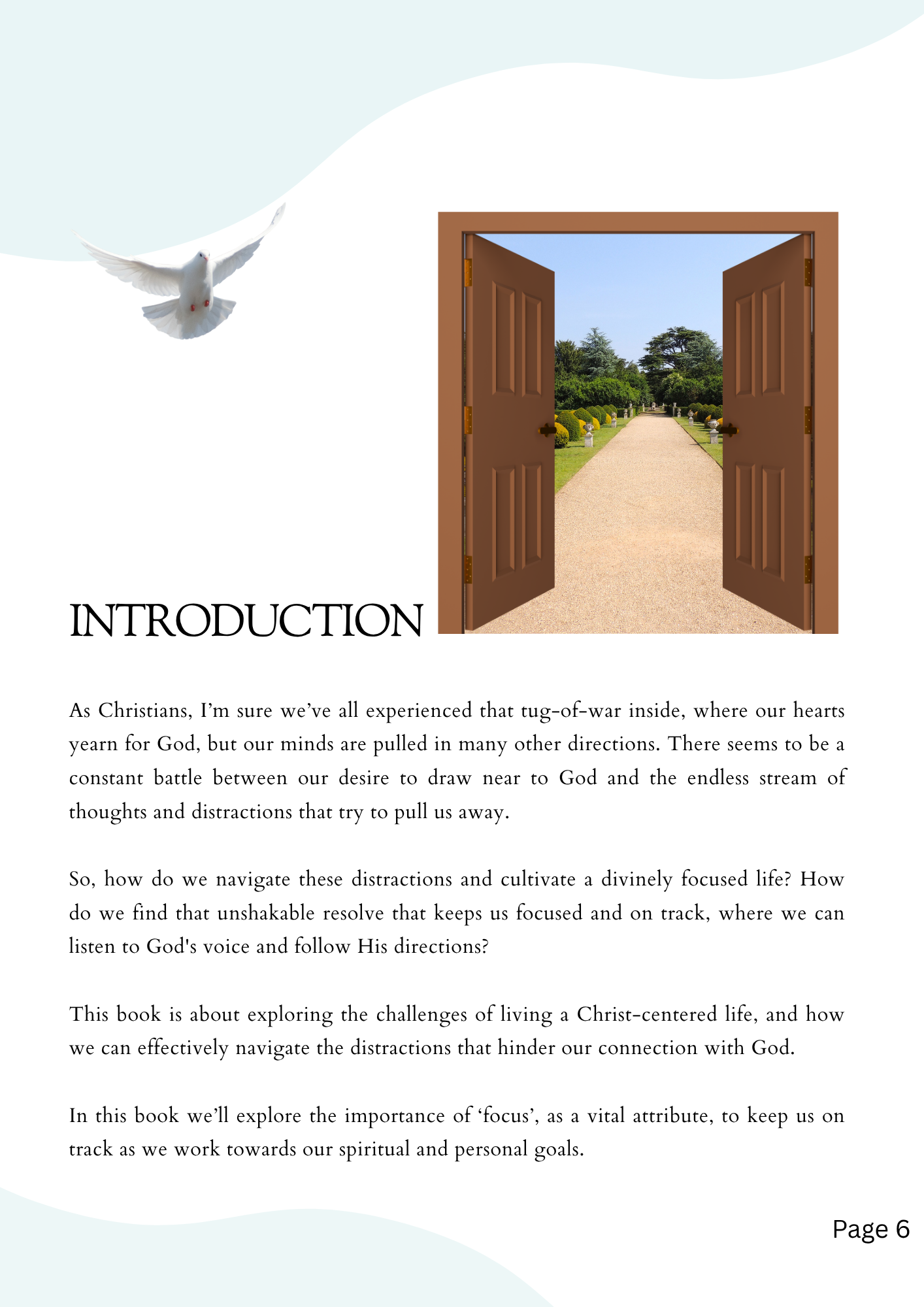 Divinely Focused (E-Book)