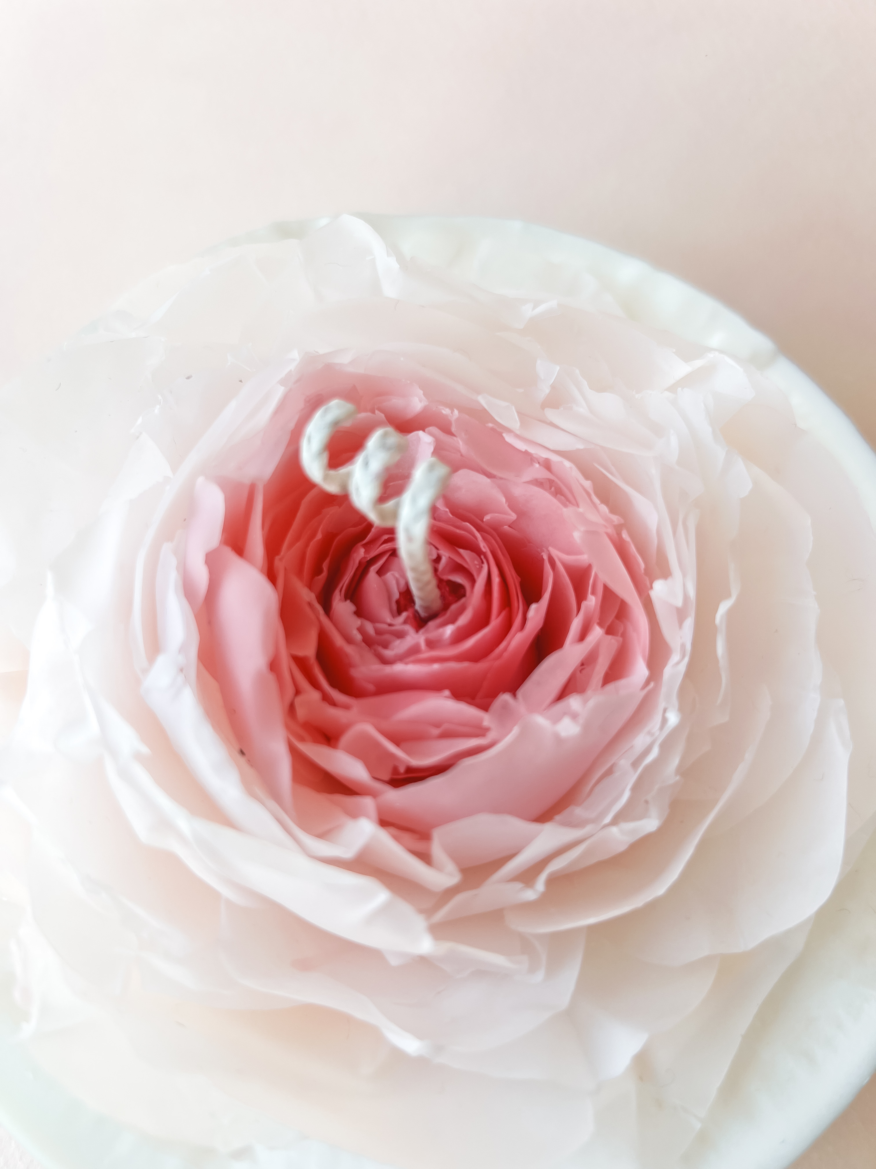 Žvakė "Šilumos pumpuras"