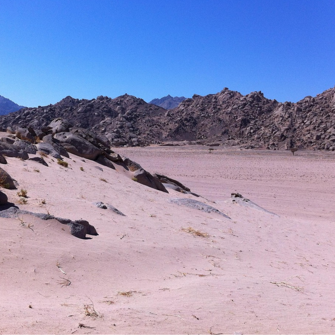 Aladin Desert Safari from Marsa Alam 