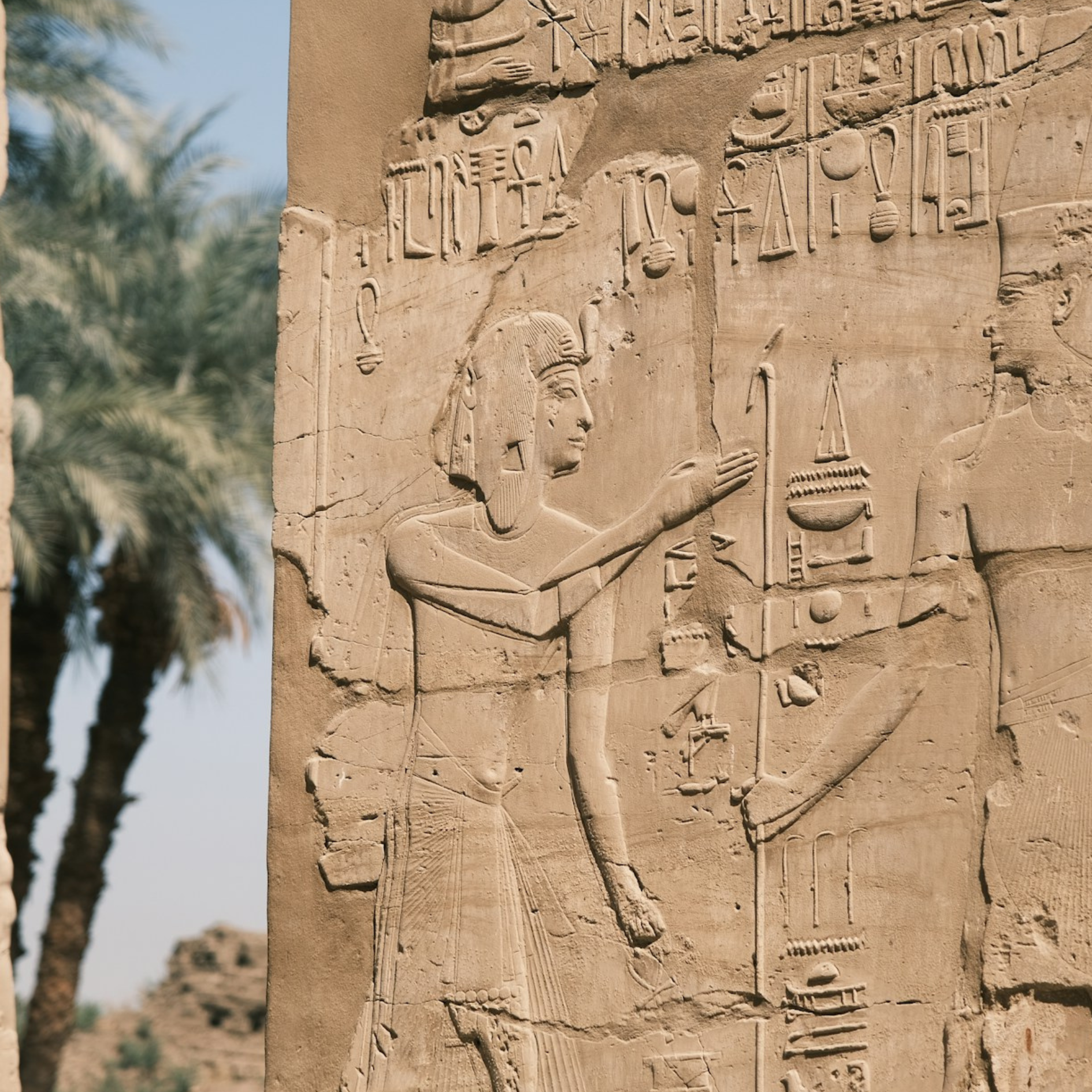 2-Day Tour to Luxor from Marsa Alam 