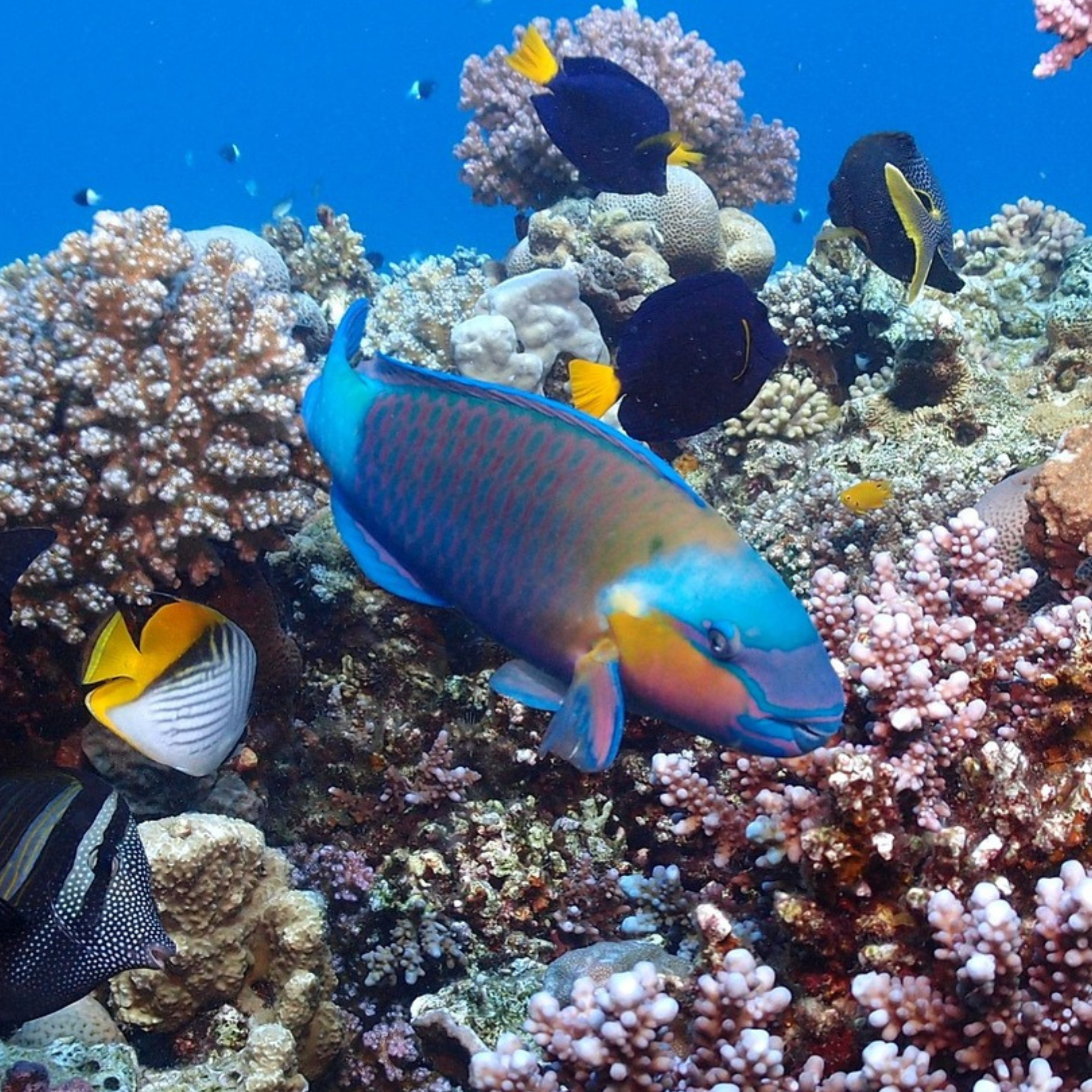 Moto Marine Excursion – Quadbike, Beach & Lunch