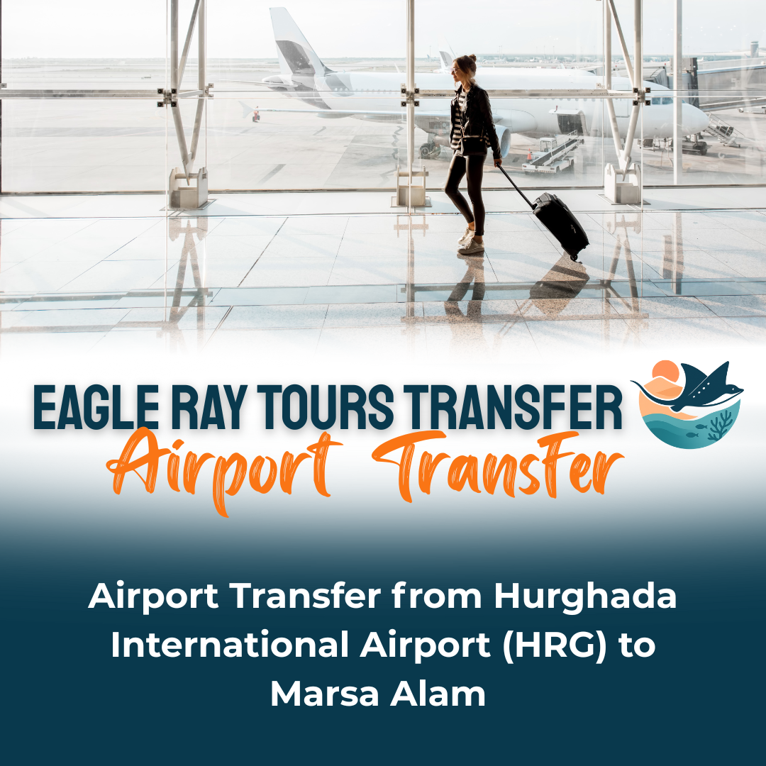 Private Transfer from Hurghada Airport to Marsa Alam Resorts