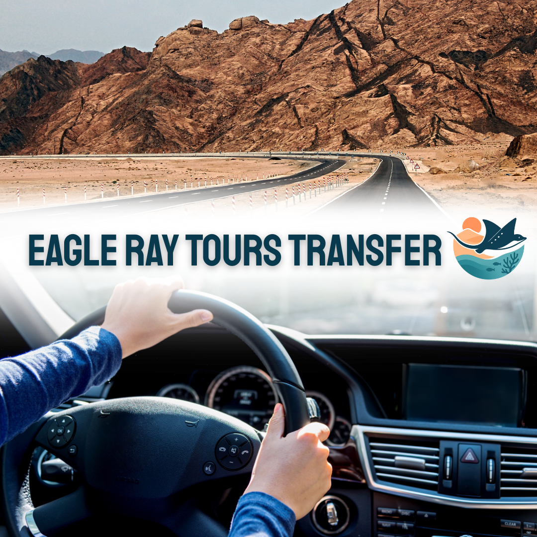 Book private Transfers in Marsa Alam & El Quseir and Across Egypt