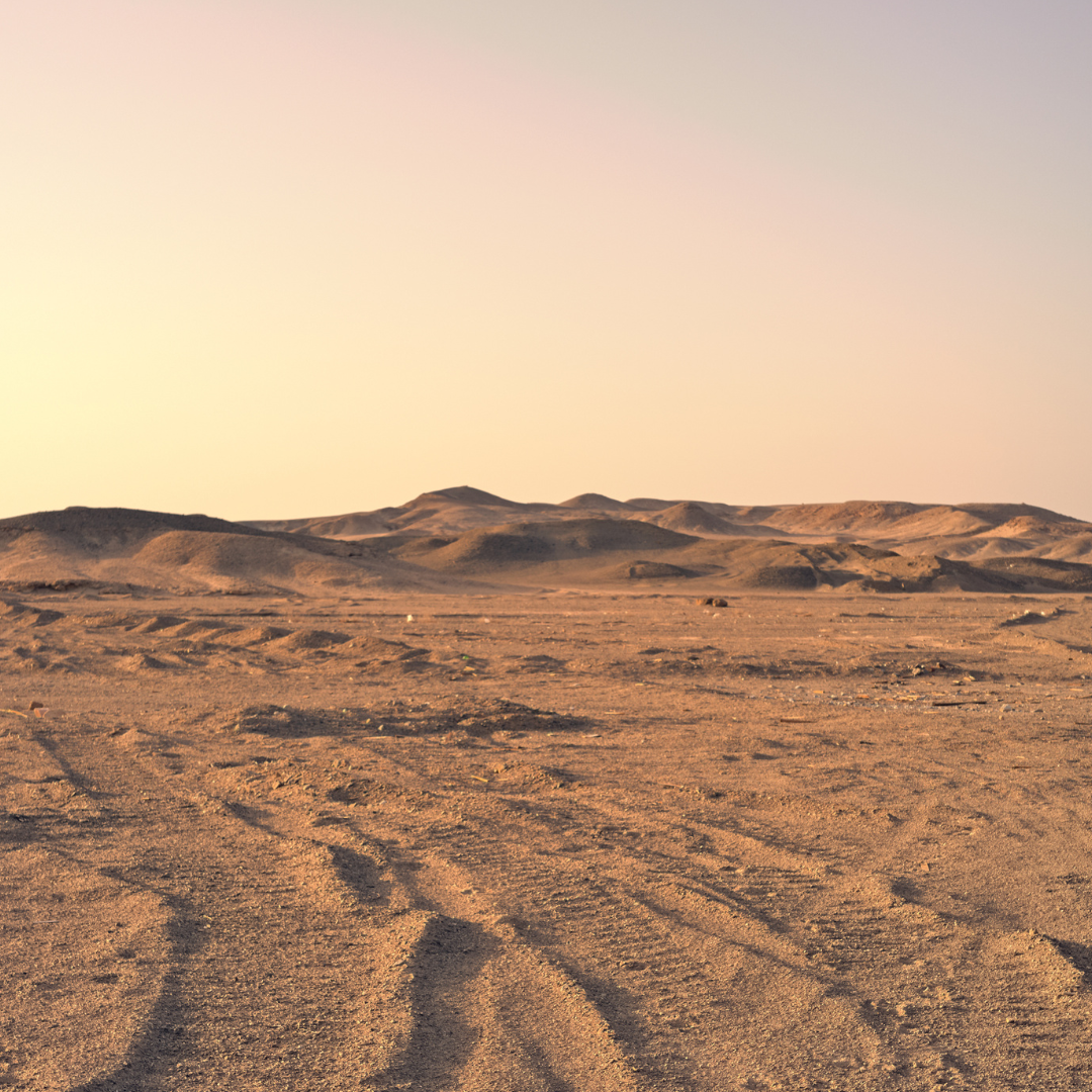 Quad Bike Sunrise Safari . Early Morning desert safari from Marsa Alam