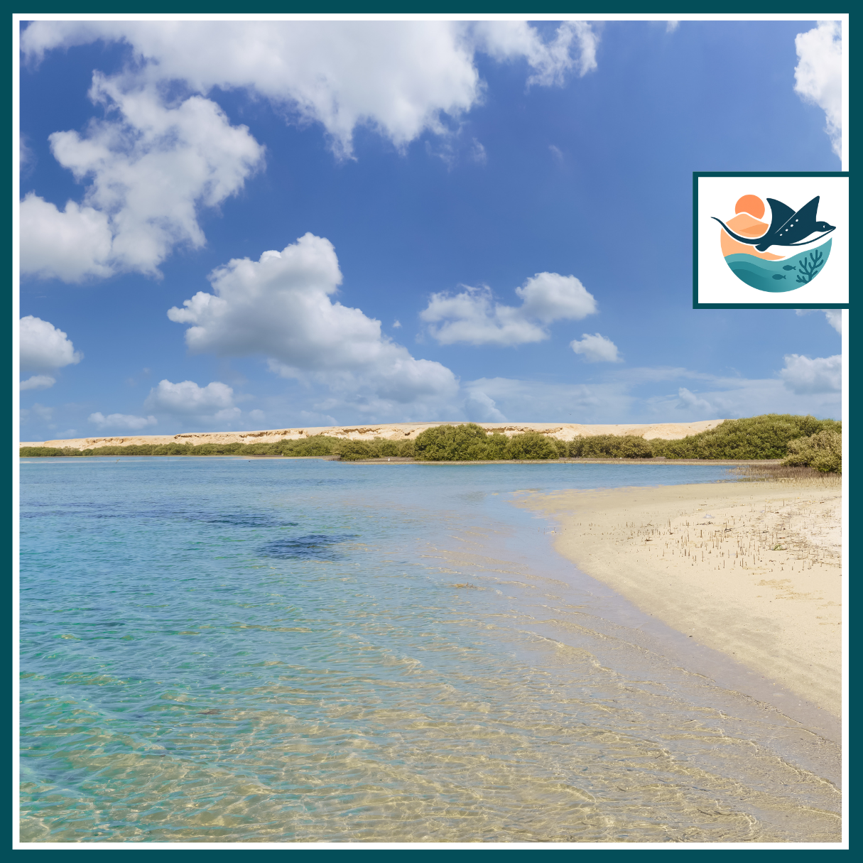 Sharm El Luli and Qulaan Bay Snorkeling Trip from Marsa Alam – Full-Day Excursion with Lunch