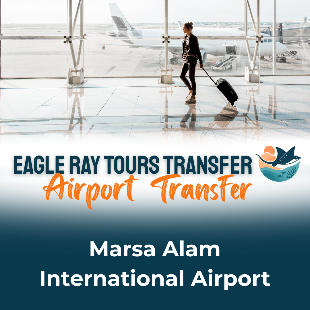 Private Transfer from Marsa Alam International Airport to Marsa Alam Hotels