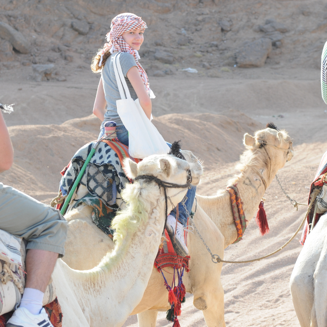 Aladin Desert Safari from Marsa Alam 