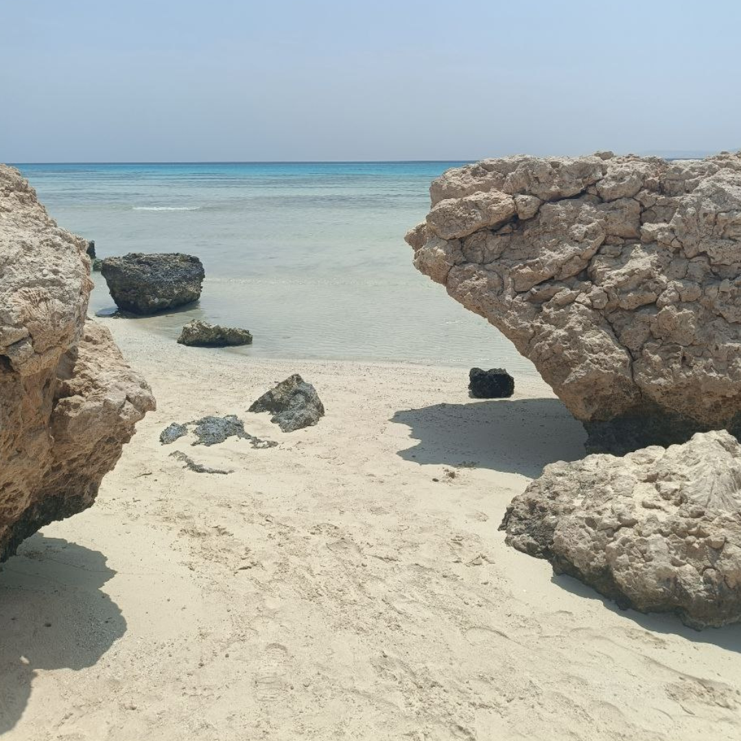 Sharm El Luli – Beach and Snorkeling | Half-Day 