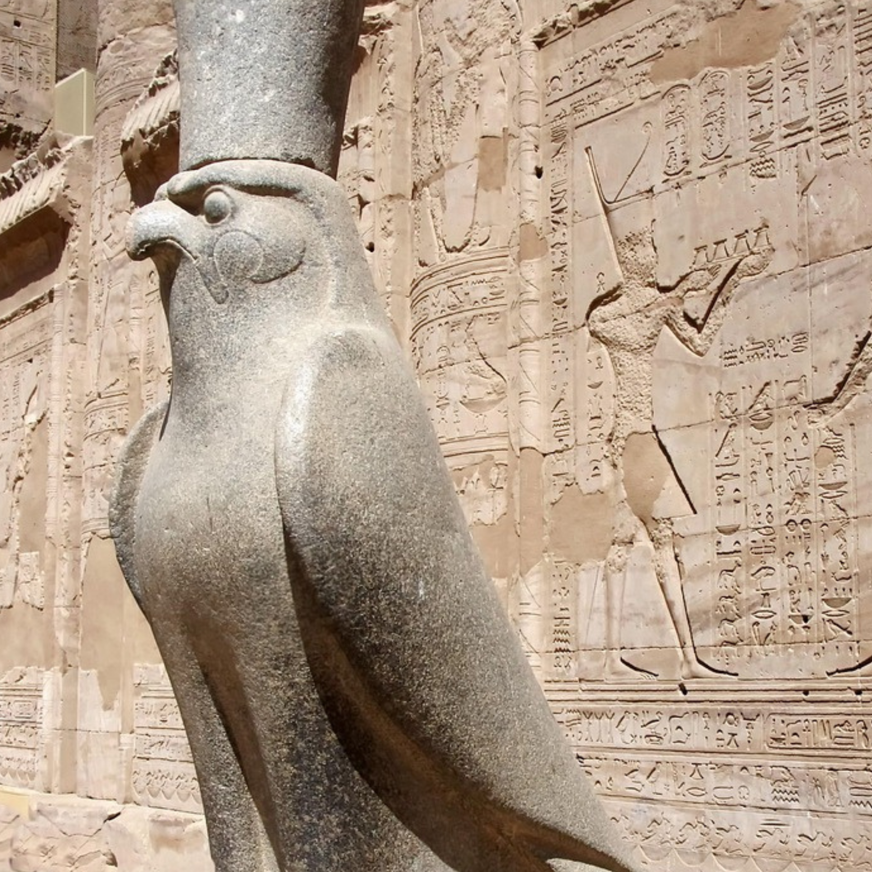 Edfu & Kom Ombo - Private Tour from Marsa Alam