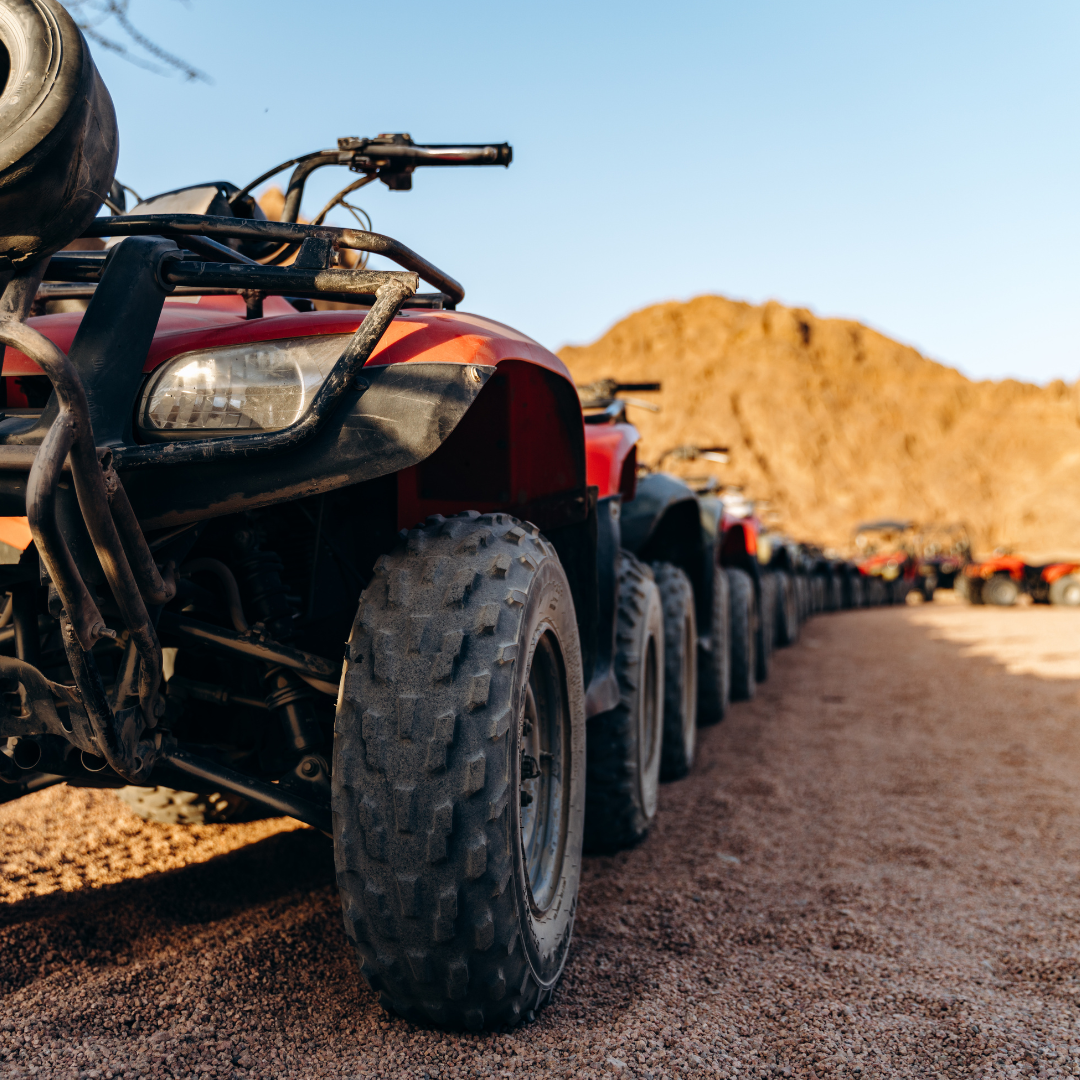 Morning Desert Safari with 2-Hour Quad Biking & Camel Ride