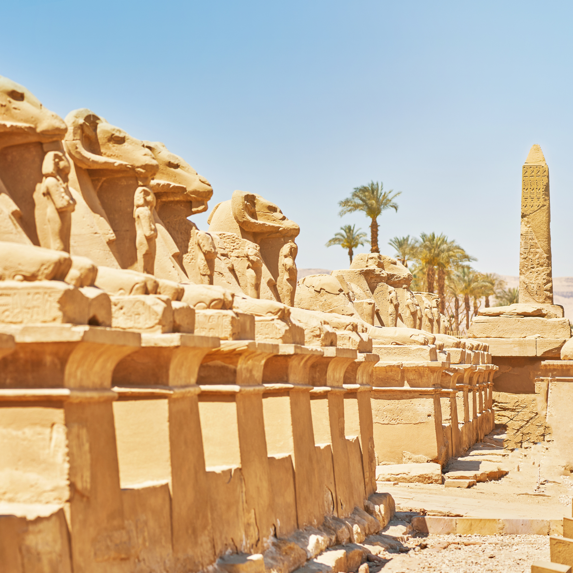 2-Day Tour to Luxor from Marsa Alam 
