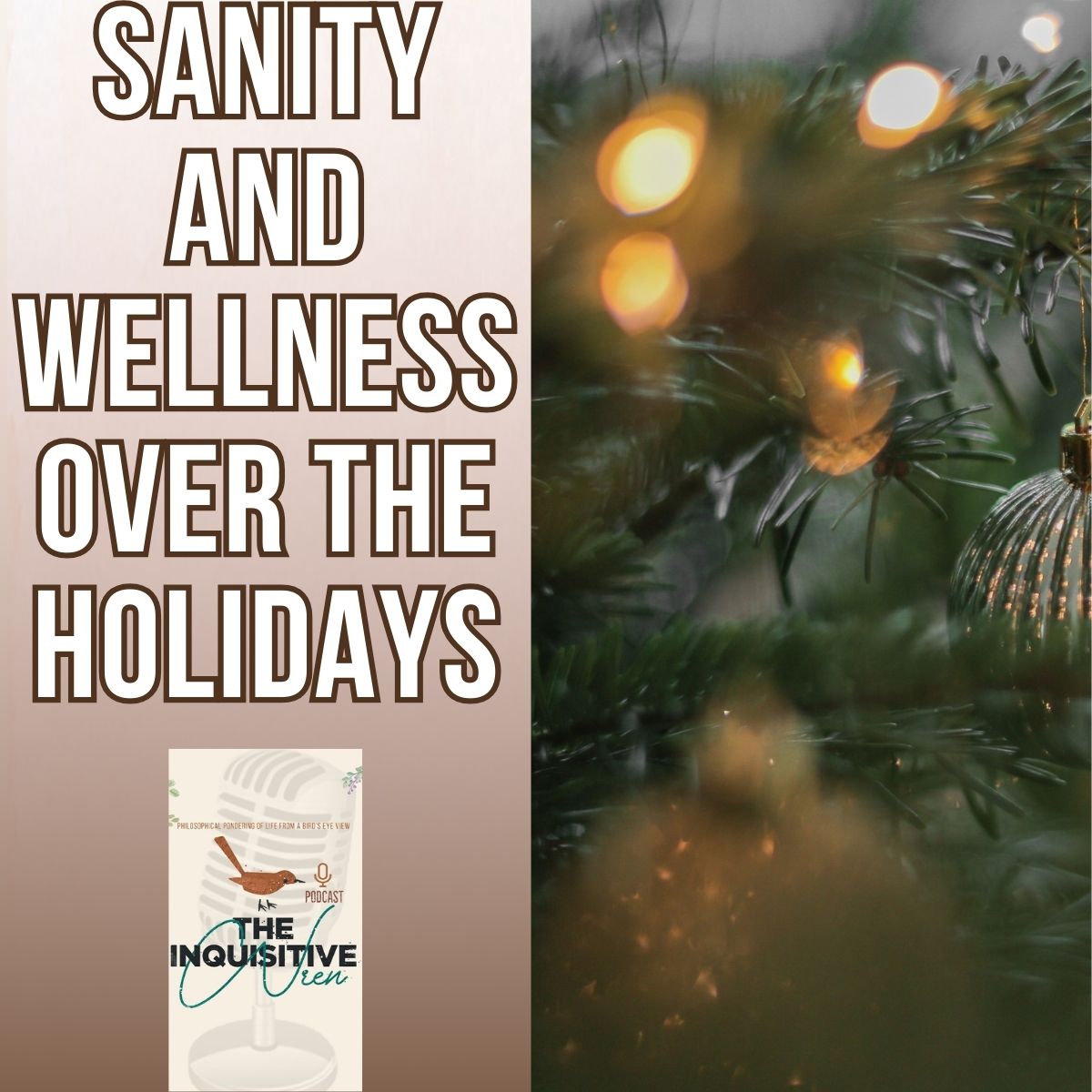 Festive Holiday Wellness SECRETS to Stay Sane, Calm and Positive! 