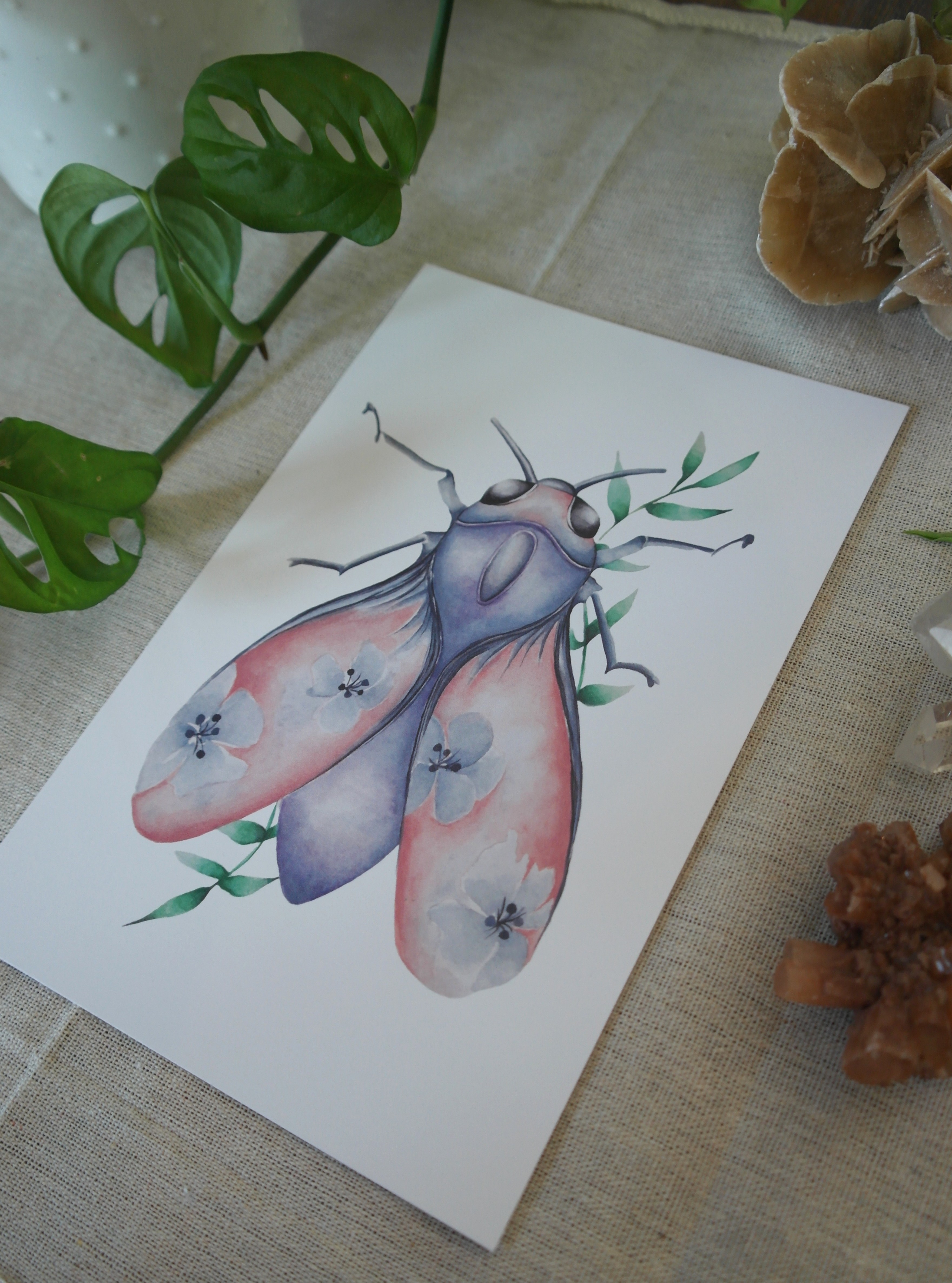 Papillon céleste