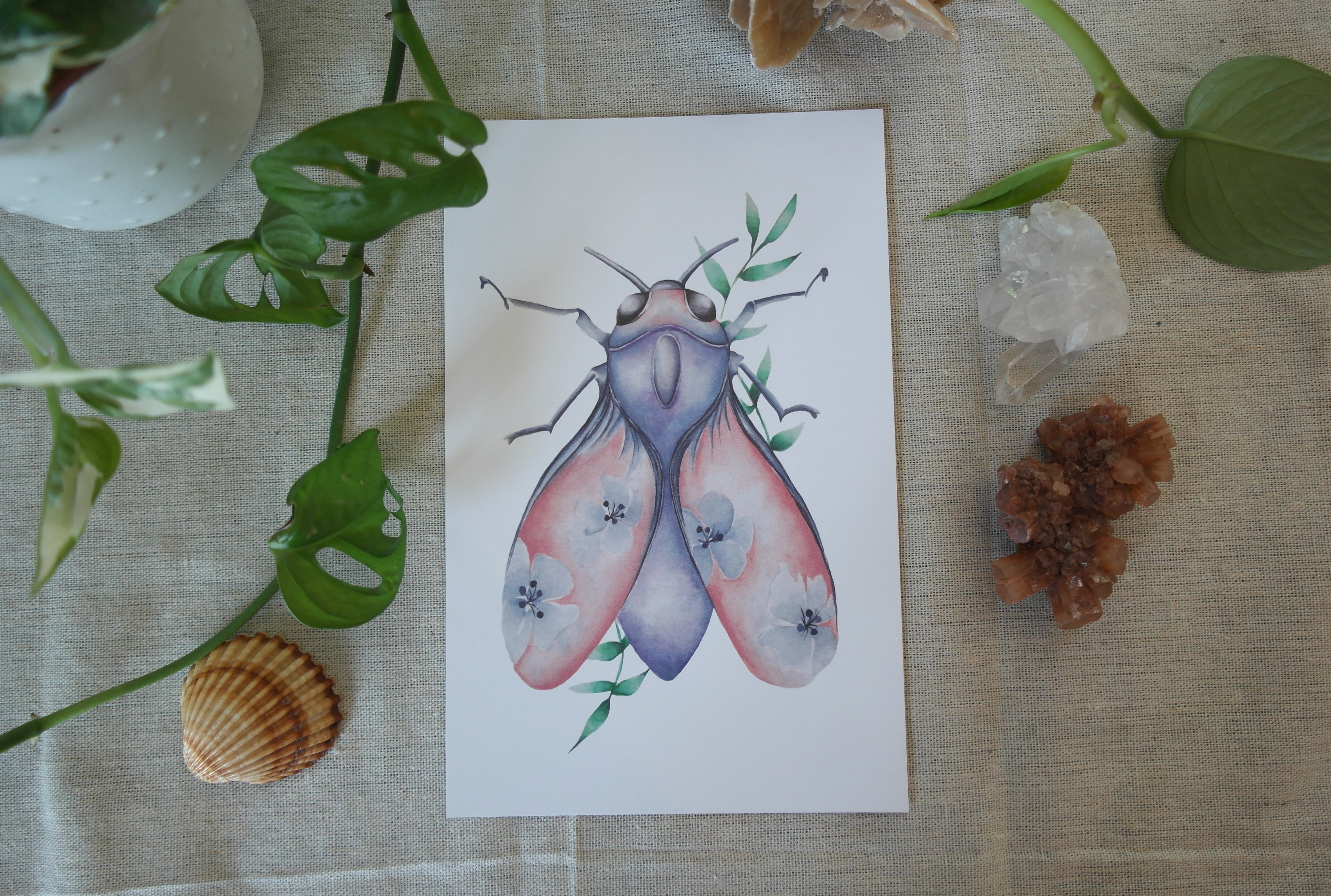 Papillon céleste