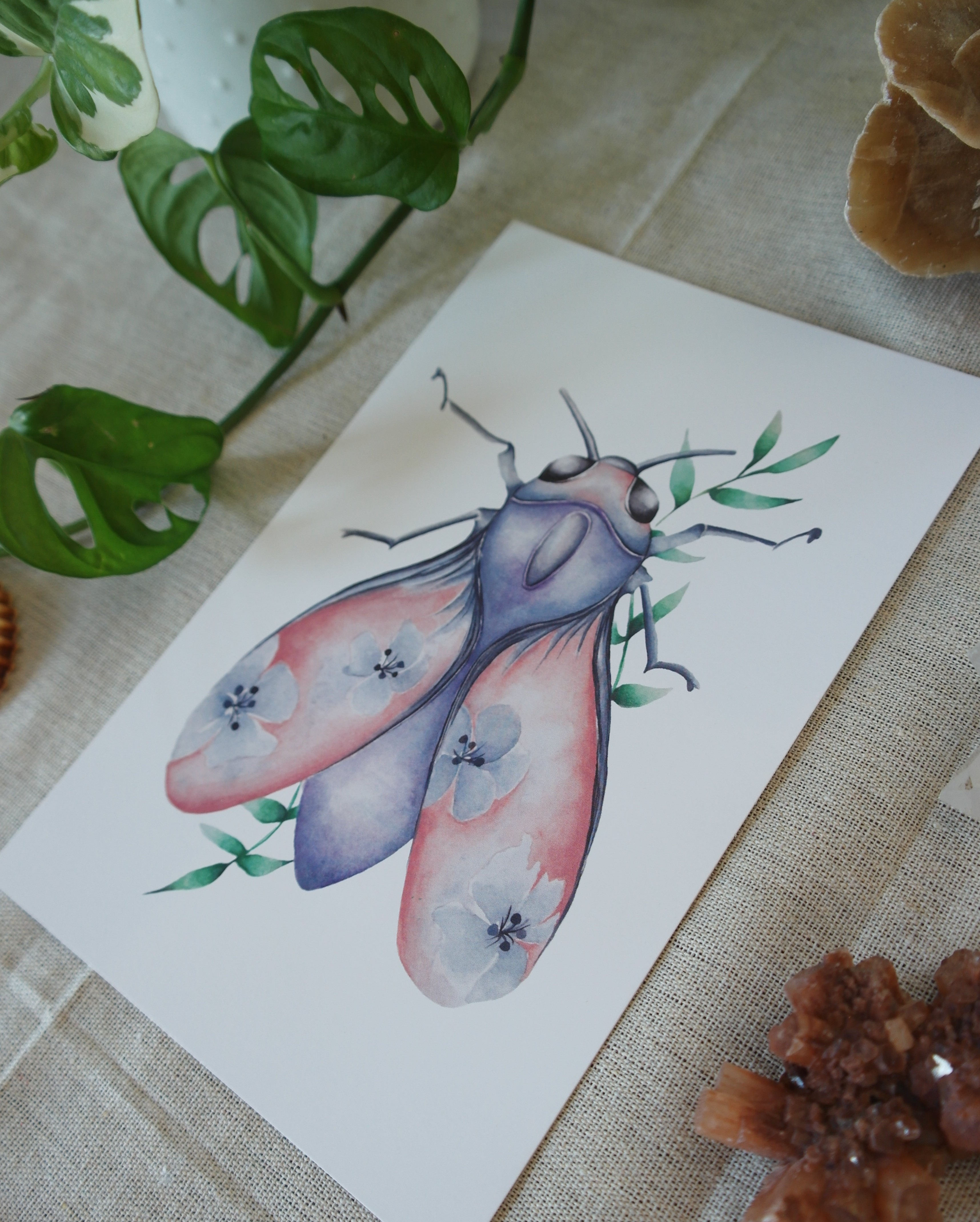 Papillon céleste
