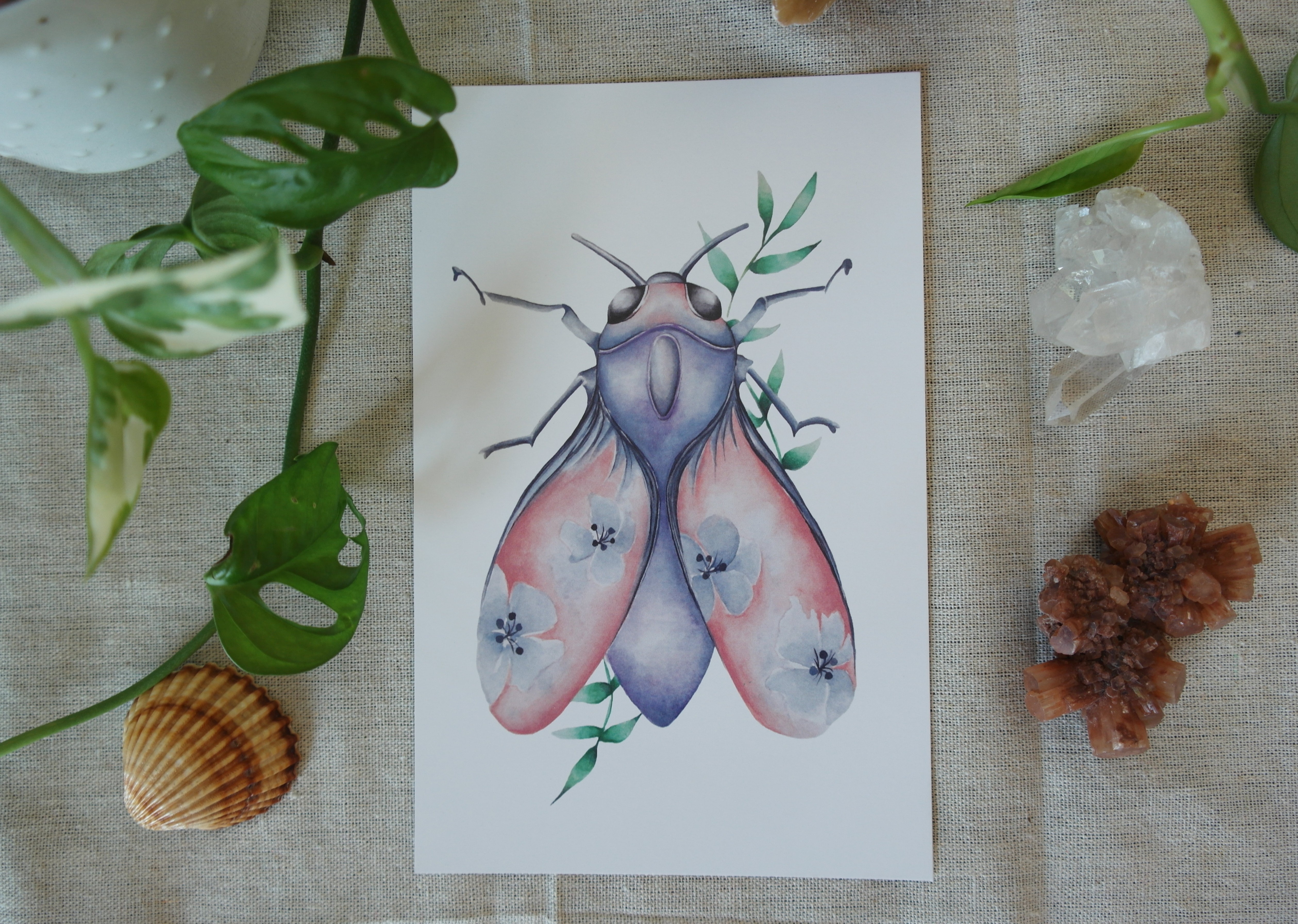 Papillon céleste