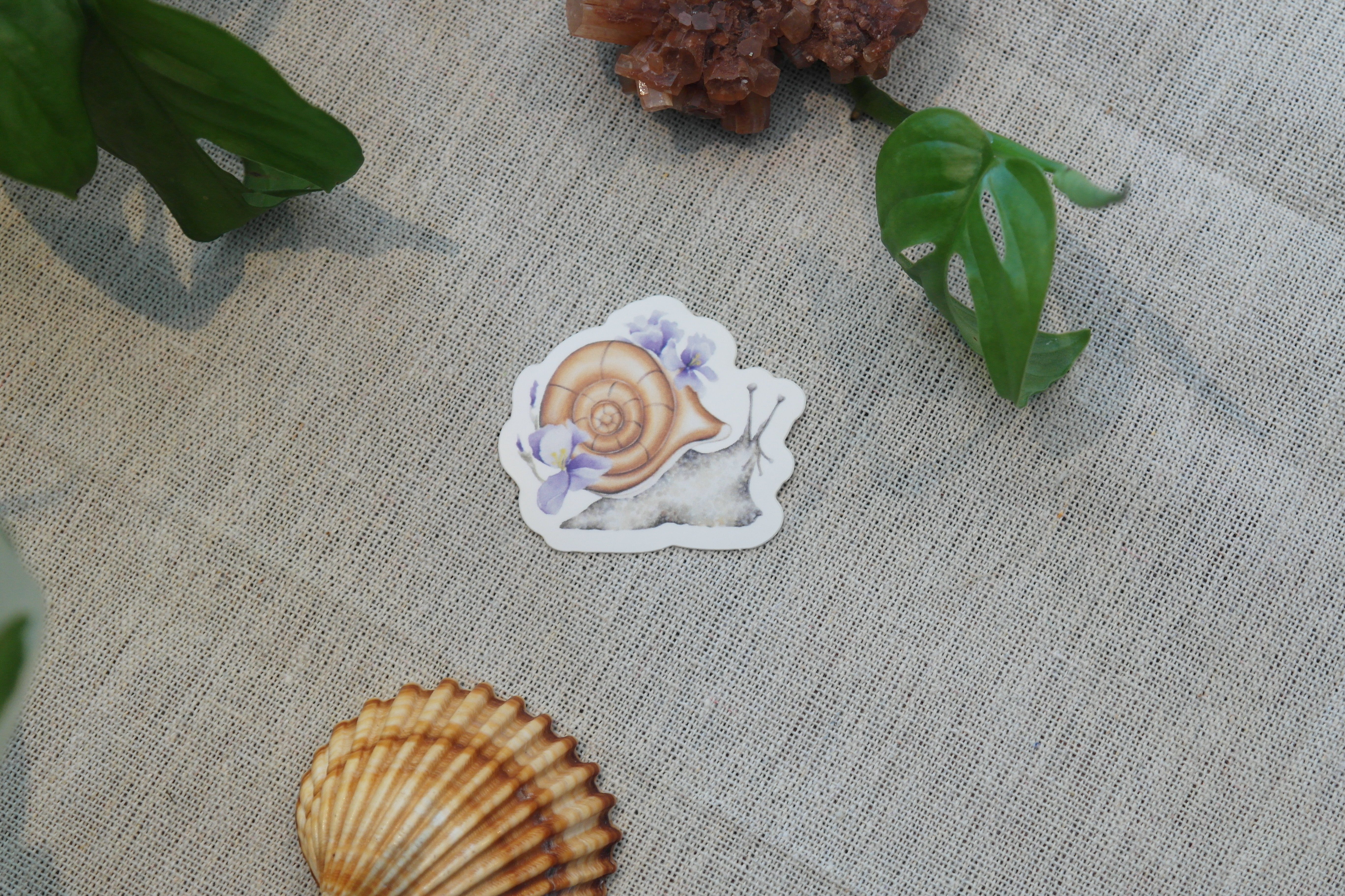 Stickers Escargot aux iris