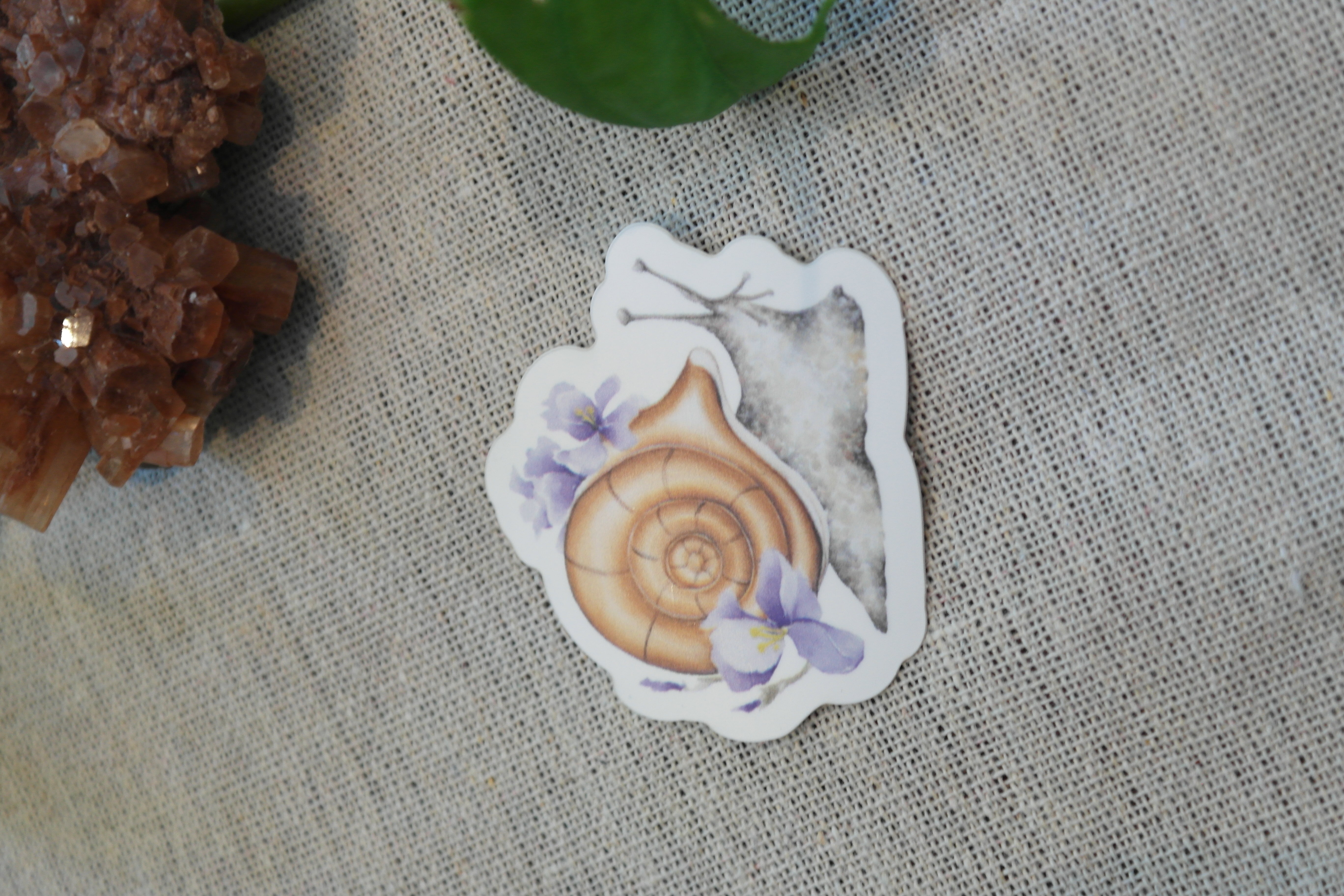 Stickers Escargot aux iris 