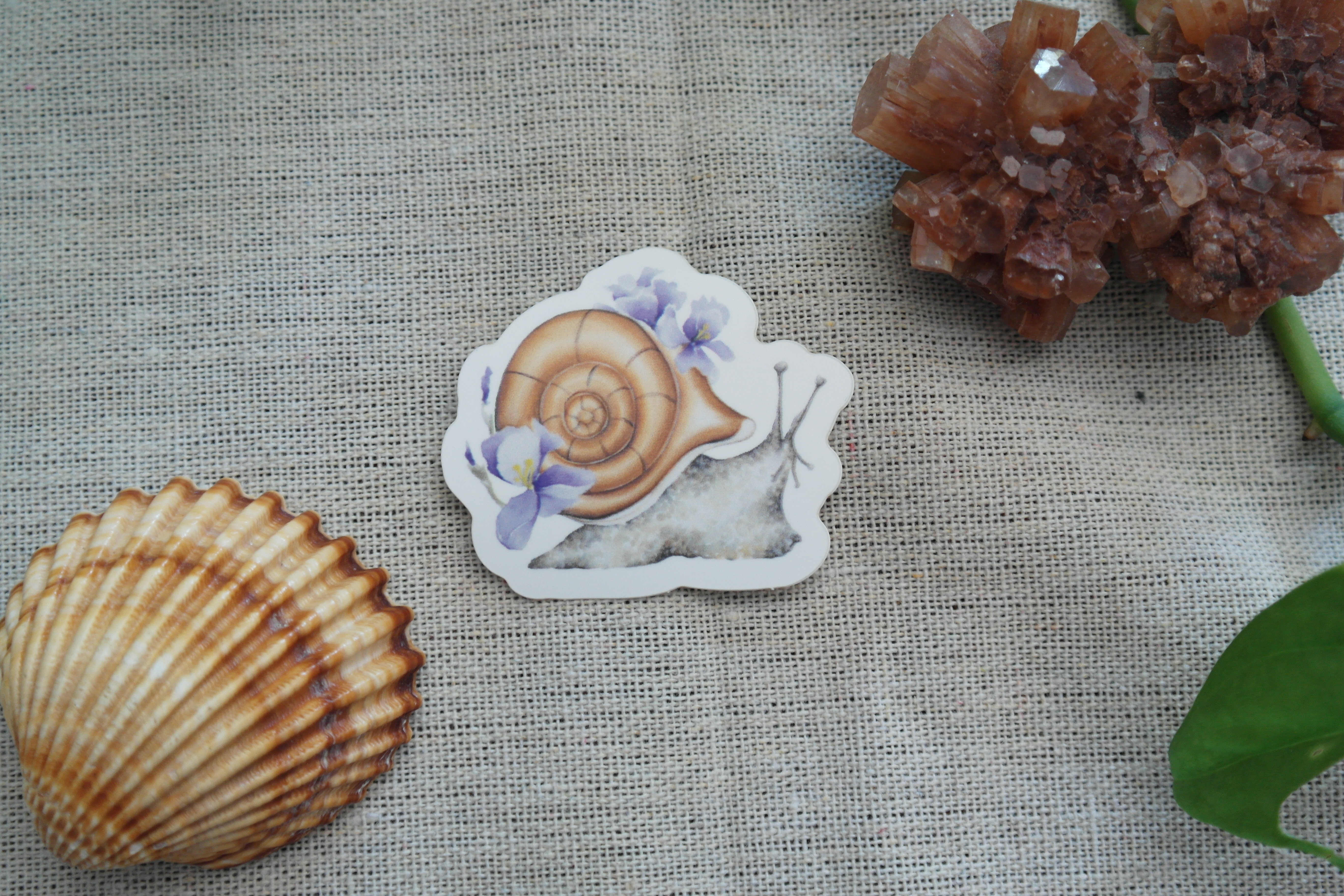 Stickers Escargot aux iris 