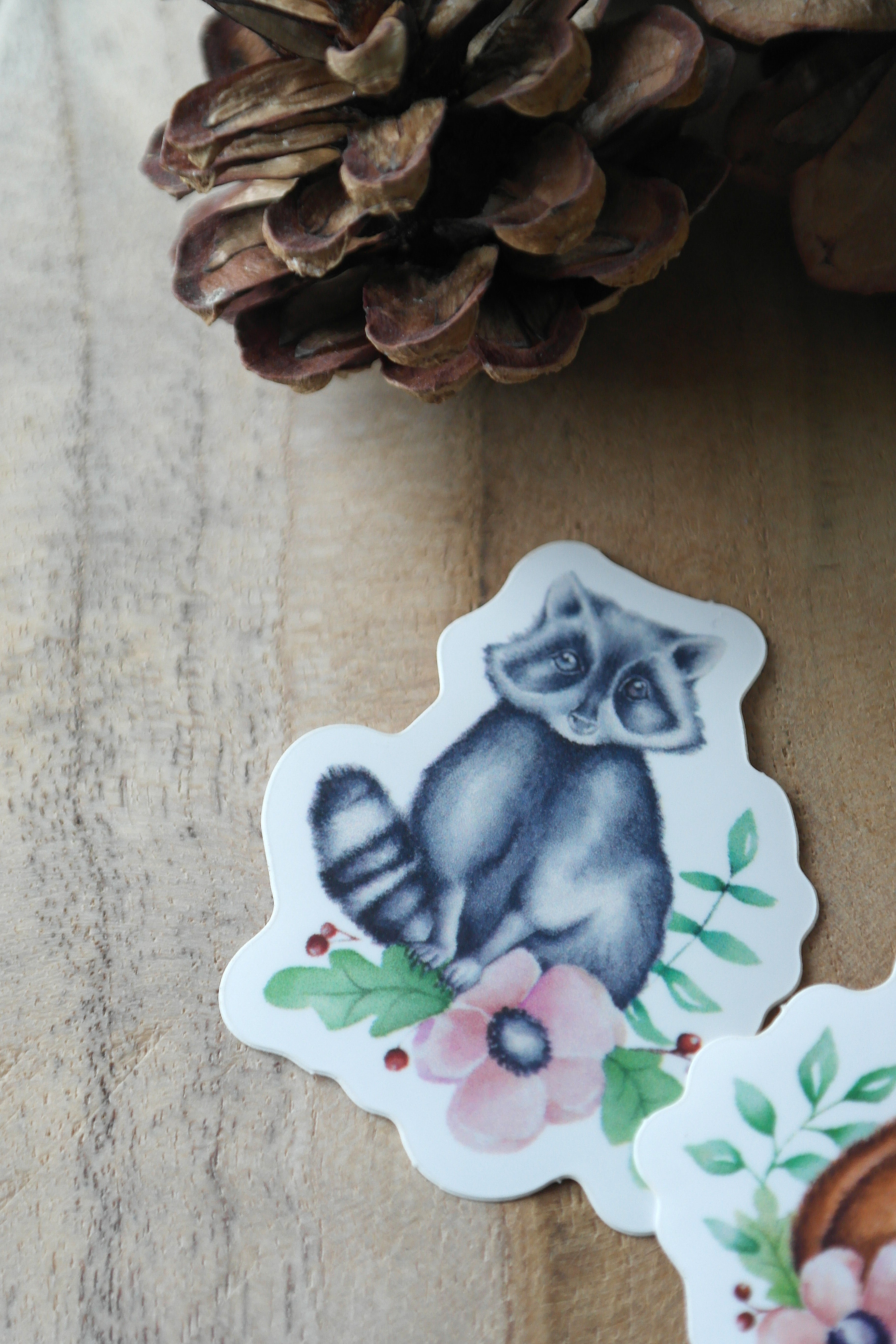 Raccoon d'automne