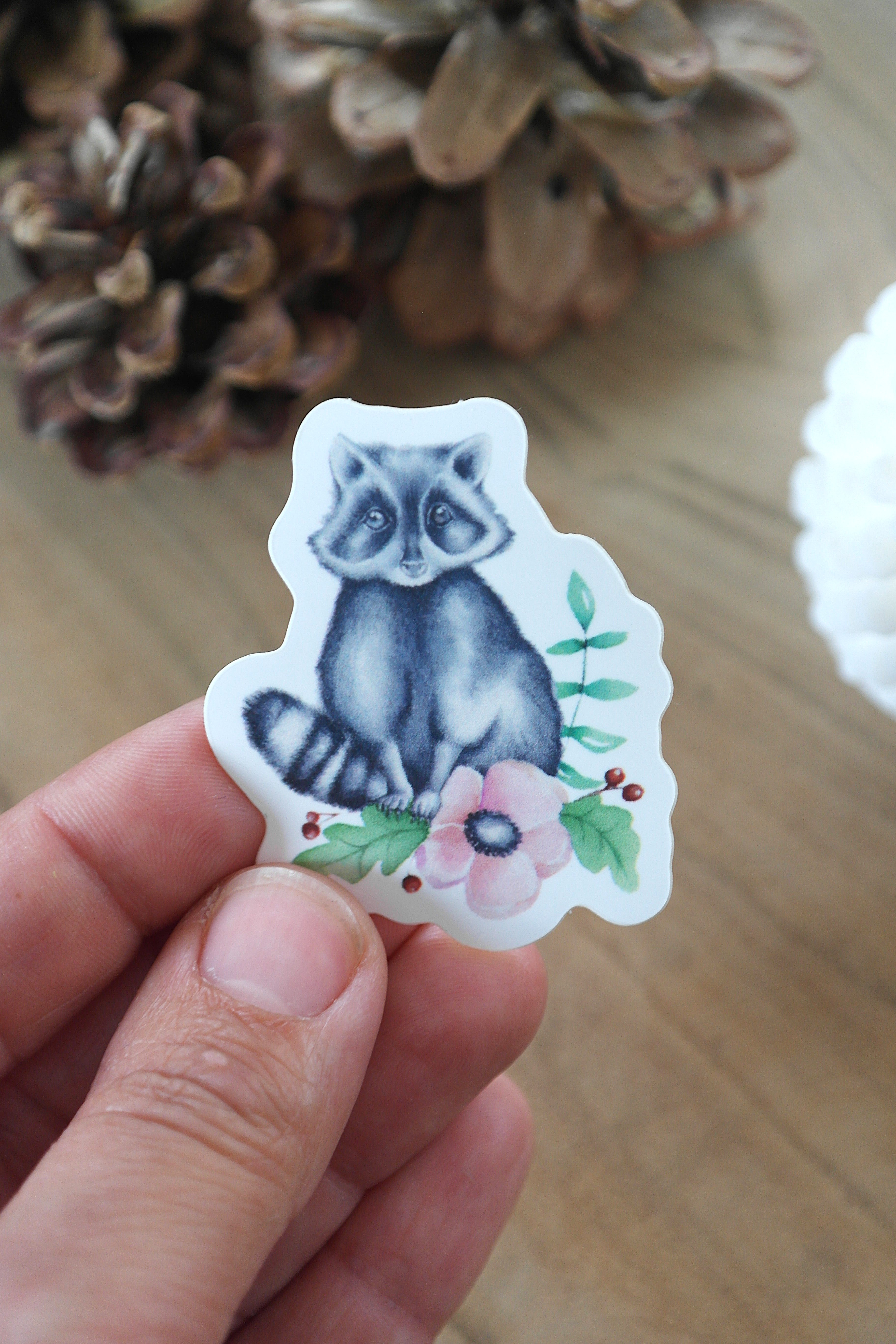 Raccoon d'automne