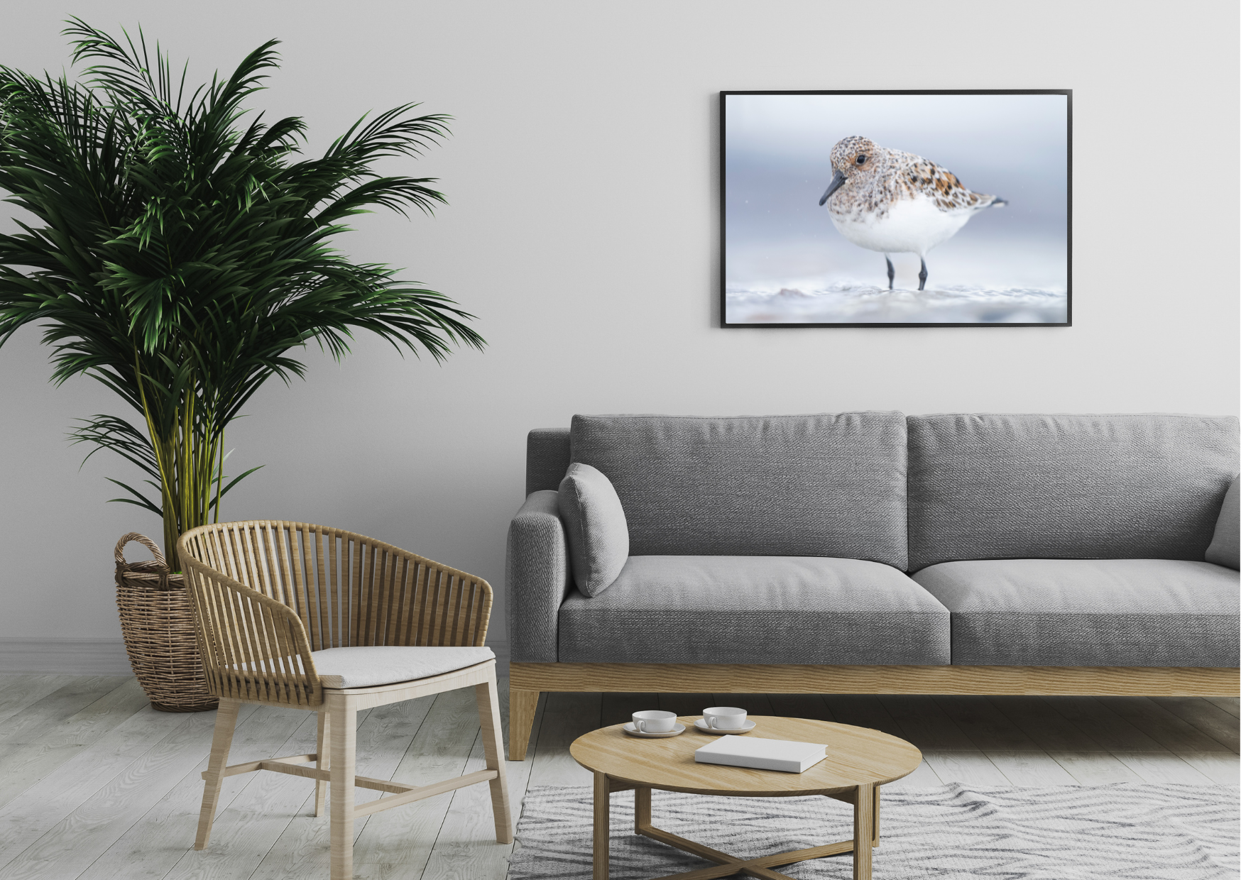 Sanderling Print + Frame 