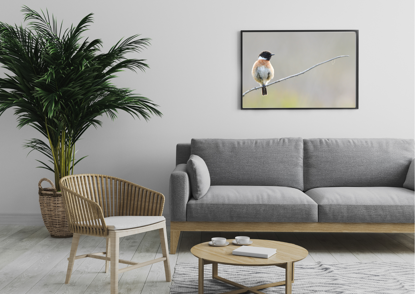 Stonechat Print + Frame 