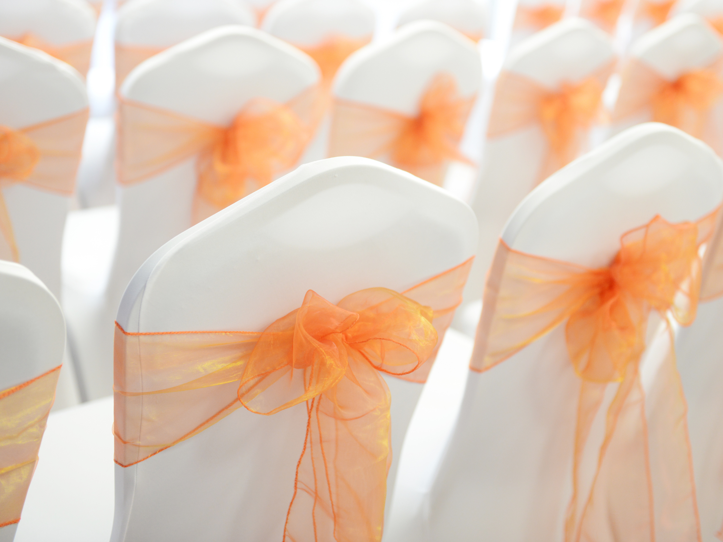 Sashes