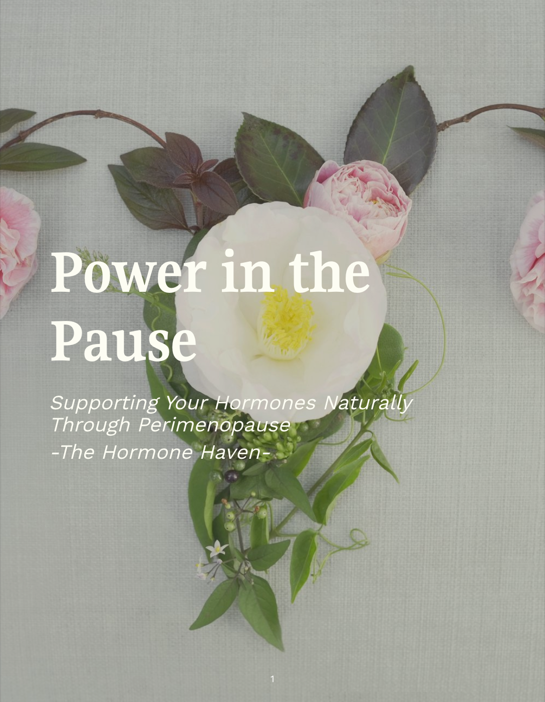 Power in the Pause Ebook