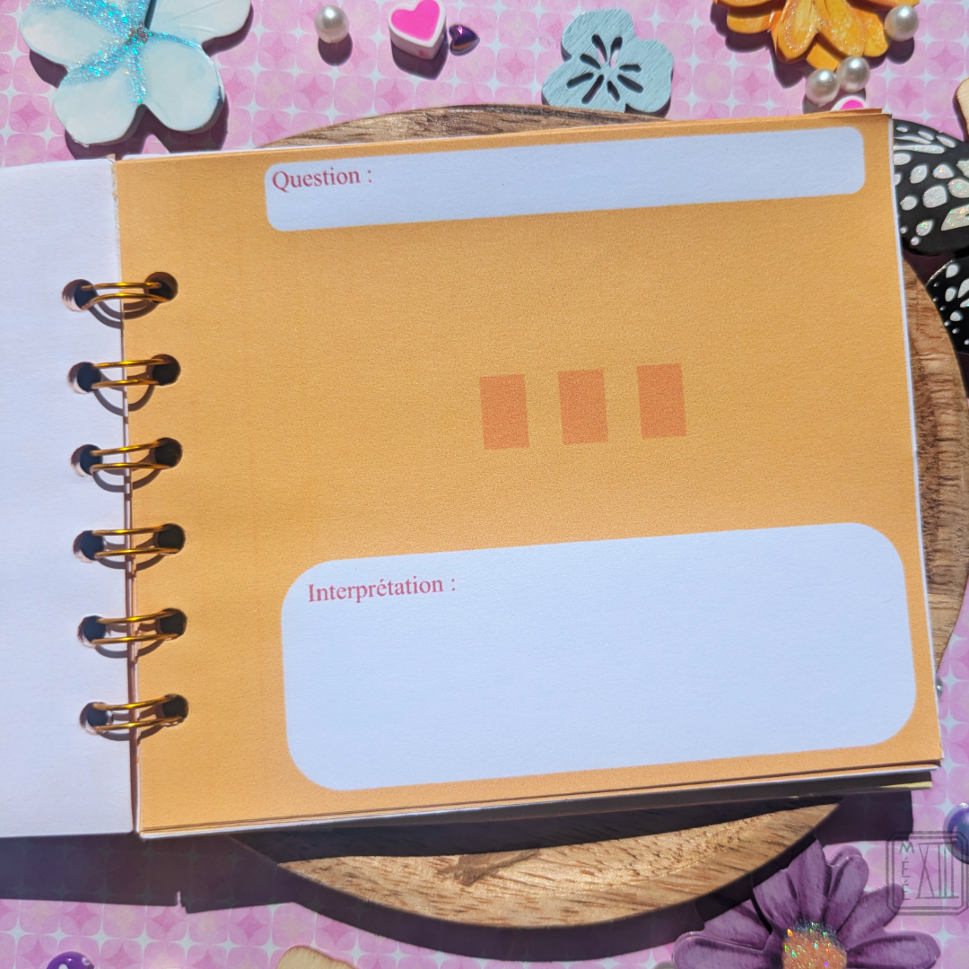 Carnet de Cartomancie the Sun