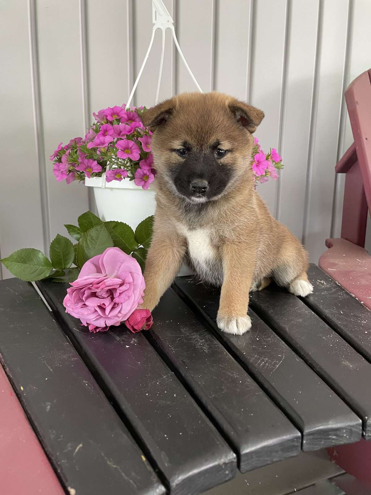 Luna