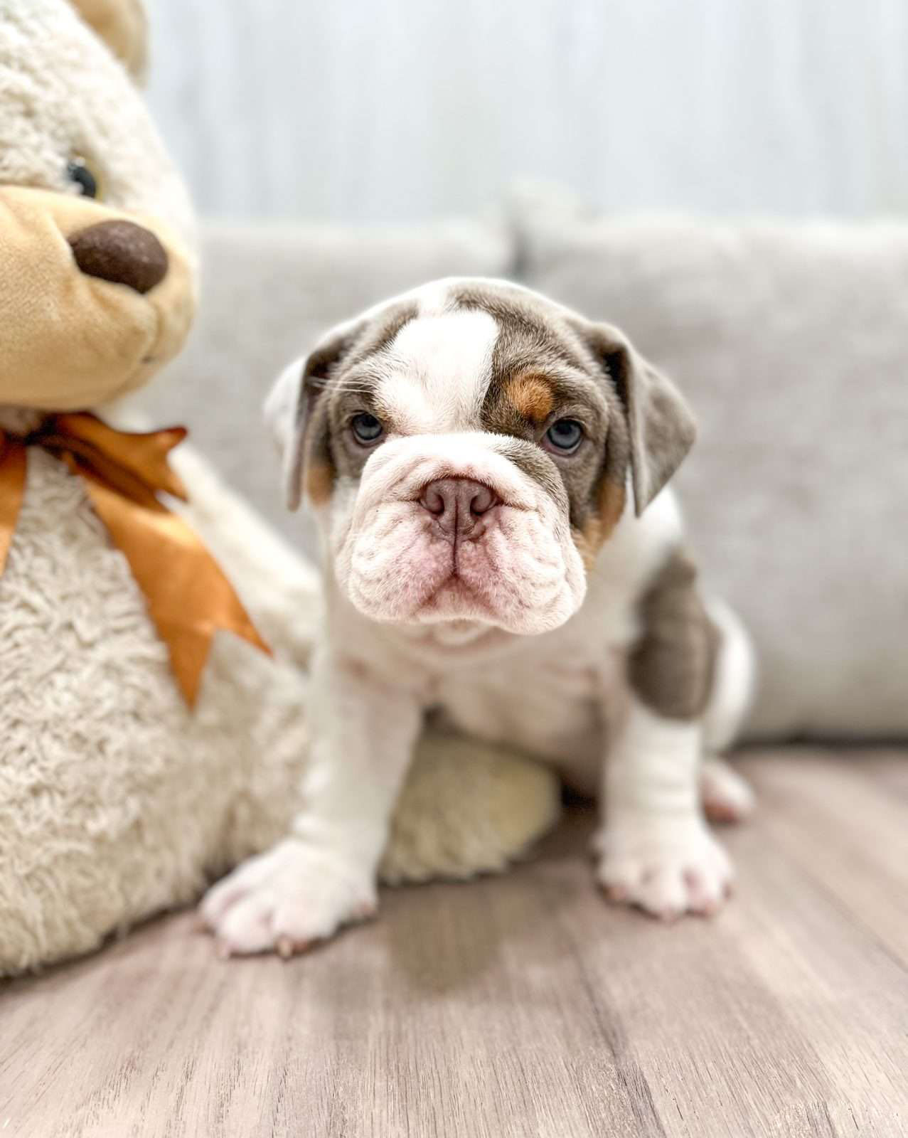 Bonnie