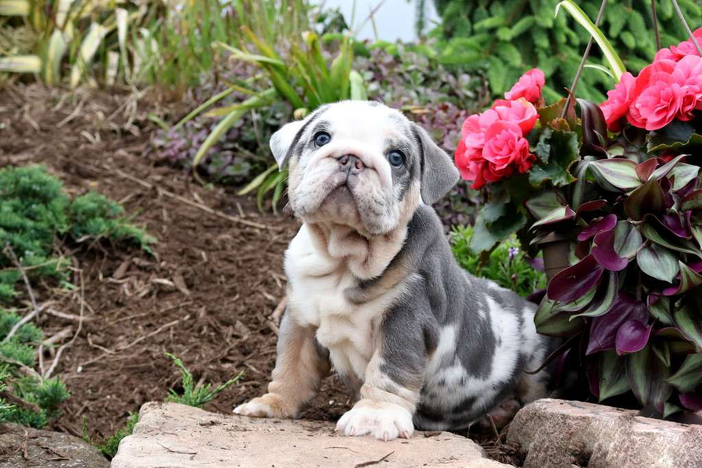 Tanker