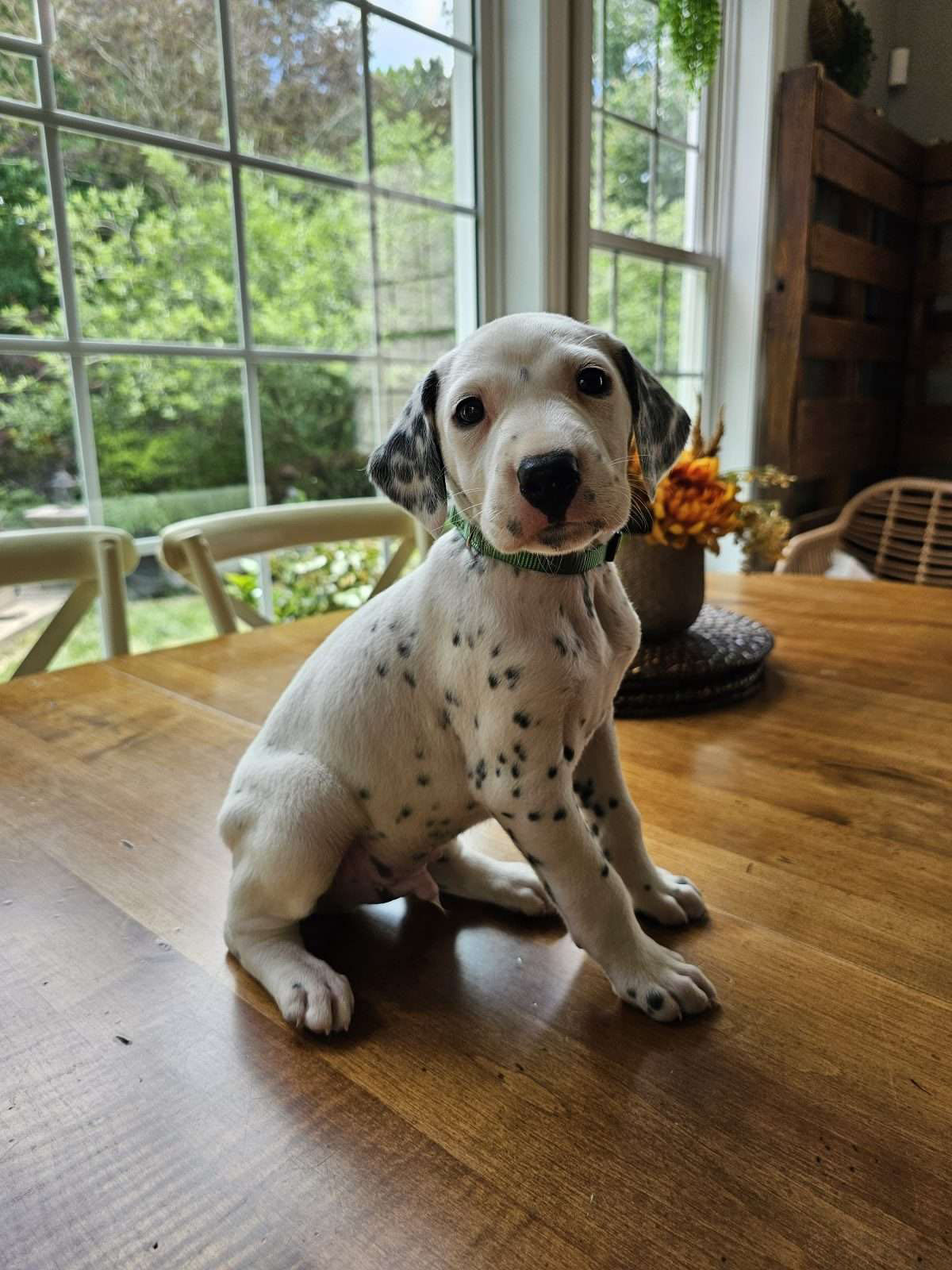 Jax